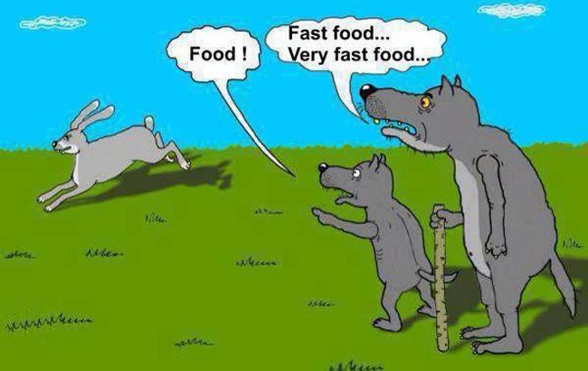 fastfood