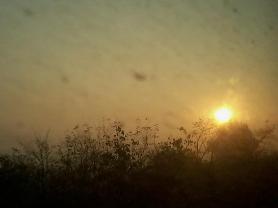 il sole sorge dietro la nebbia - in treno