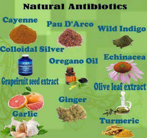 Natural antibiotics