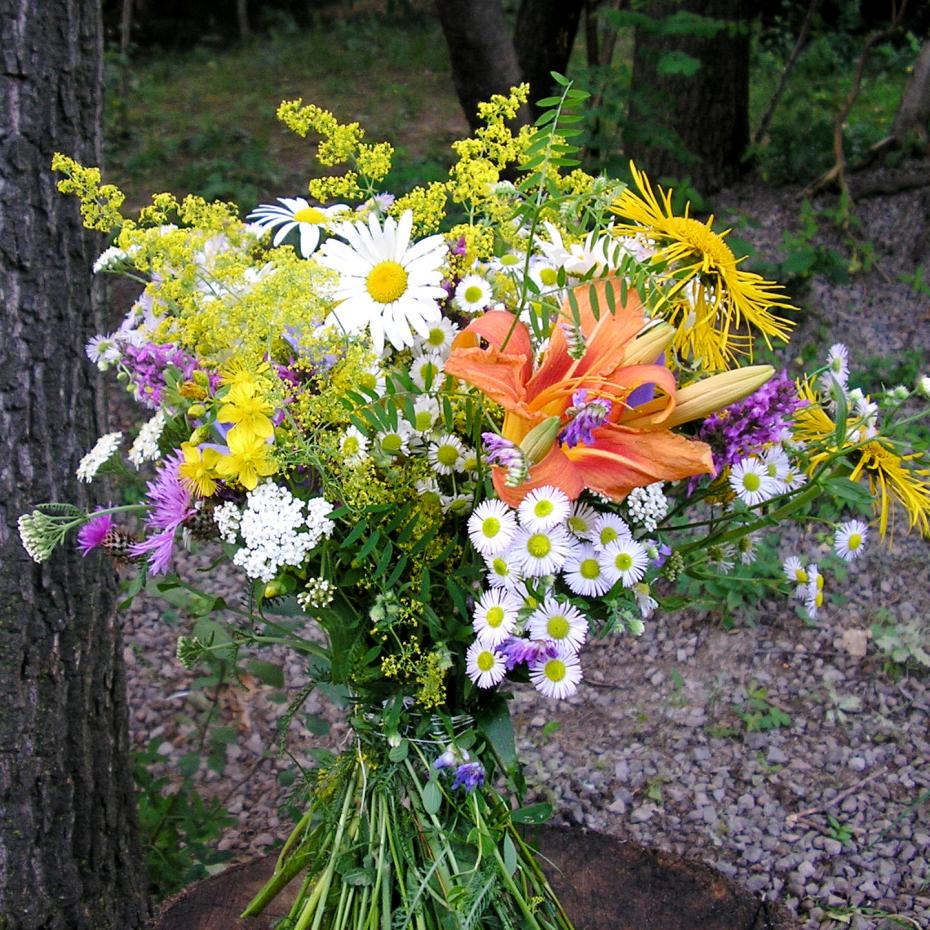 buchet-cu-flori-de-camp