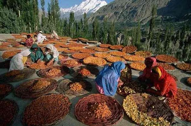 hunza_opt-630x418