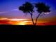 sunset16