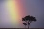 Un arcobaleno nella notte(dominique lapierre)