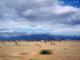 desert2