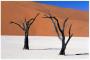 namib-desert, by Frantisek Staud.