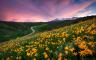 Ogden Valley, Utah