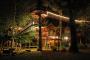 forest-house-house-tree-dream-nature-lights-night-Favim.com-326074