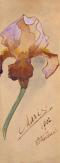 MarieFlowers1902