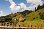 Bucovina