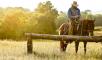 uomo a cavallo