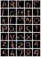 L'alfabeto dei corpi