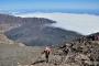 hiking to the top of the vulcano