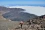 hiking to the top of the vulcano