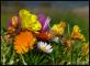 couleurs