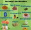 Natural antibiotics