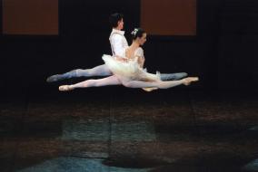 img001coppelia.2011